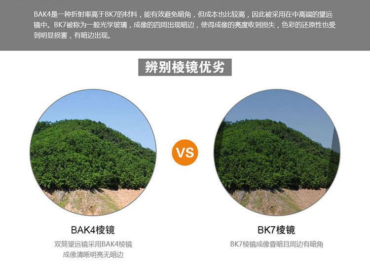 详情1_10