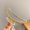 Pinza para el pelo coreana, accesorio para la cabeza, disco, pinza para el pelo, pinza para la parte trasera de la cabeza, pinza para el pelo grande y elegante coreana, pinza para el pelo con forma de tiburón
