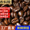 Academia de Ciencias Agrícolas Yunnan Granos de Café Arábica Italiano Tostado Fresco Molido Fresco Café Negro de Preparación Manual Granos Al Por Mayor