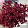 Flores secas de capim cristal preservadas, decoração de flores reais, buquê de flores preservadas feito à mão com vendas diretas da fábrica de Yunnan e frete grátis