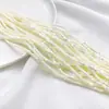 Conchas Naturales Tubo Redondo Pequeño Colorido Espaciador Cuentas Sueltas Cuentas Barril Pulsera DIY Cuentas para Hilo Accesorios de Joyería Productos Semi-Terminados