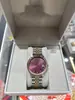 Reloj Vivian Nuevo Estilo Esfera Rosa Emperatriz Reloj para Mujer Reloj Azul Hielo Triturado Morado Fruta del Dragón Blanco Luz de Luna Reloj de Pulsera