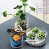 Vaso de vidro grande para flores, recipiente hidropônico, transparente, criativo, personalizado, planta de rosas verdes, multifuncional, vaso de cobre com grama para dinheiro, levantado na água
