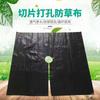 Película Mulch Personalizada Pe Medicina Herbal China 60x60 Agujero Único para Plantación de Árboles Frutales, Control de Malezas, Aislamiento, Película Agrícola Negra, Película de Baja Transmitancia de Luz