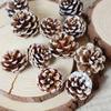 Decorações de Árvore de Natal de Pinha de Floco de Neve, Pinhas Brancas, Flores Secas de Natal, Pinhas, Materiais para Arranjo de Pinhas, Pinhões