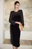 Vestido de Veludo de Seda para Mulheres 2026 Outono e Inverno Novo Estilo Manga Longa Gola Redonda Brilhante Diamante Solto Reto Seda de Amora Vestido