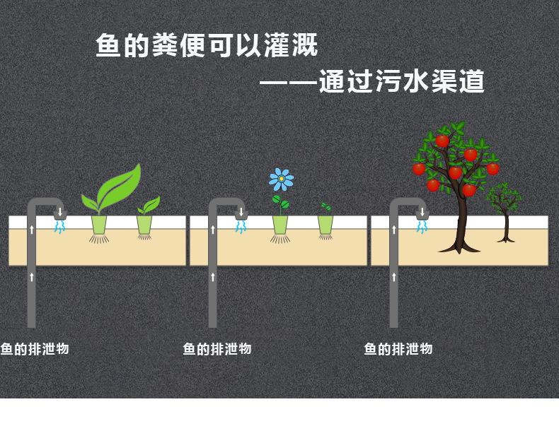 不锈钢锦鲤一体机_07.png
