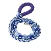 Conjunto Exclusivo de Coleira para Pet Transfronteiriça, Peitoral e Coleira Color Block Tecidos à Mão para Cães Pequenos e Médios, Coleira para Passeio de Cachorro