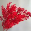 Flores Eternas en Tonos Rojos, Decoraciones de Año Nuevo, Kits de Material para Ramos, Decoración para el Hogar con Ambiente, Arreglos de Boda, Accesorios de Fuegos Artificiales y Decoraciones de Conjunto