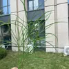 Serie Bosque de Bodas Primavera y Verano 2025 Plantas Verdes Simulación Decoración del Hogar para Bodas Plantas Verdes Artificiales Venta al por Mayor