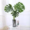 Planta Hidropônica Monstera Planta Verde Purificação do Ar Interno Ave do Paraíso Folha Grande Folhagem Perene de Interior Vaso Tronco Velho