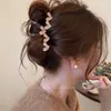 Pasador de Pelo de Acrílico Estilo Coreano para Mujer, Accesorio para el Cabello en la Parte Posterior de la Cabeza, Pasador Elegante, Pinza de Tiburón de Alta Calidad y Gama Alta