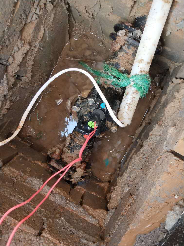 微信图片_20190722164925