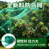 Malla Anti-Pájaros para Frutales de Huerto, Malla de Secado, Malla Protectora de Frutas, Malla Anti-Pájaros Verde para Viñedos y Cerezos