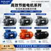 Accesorios para Compresores de Aire Sorante: Elementos Filtrantes, Anillos de Sellado, Correas, Válvulas Solenoides, Separadores de Aceite y Gas, Consumibles Generales