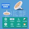 Luz de ventilador multifuncional con base de tornillo E27, control remoto, uso doméstico, iluminación regulable y de color ajustable, luz de ventilador de techo, suministro de fábrica, comercio exterior