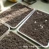 Fábrica atacado direto sândalo agarwood ganso pêra pingente antigo método perfumado duradouro perfumado mel pílulas naturais perfumadas feitas à mão