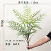 Simulación Mono Dorado de Nariz Chata Helecho Cabeza de Mono Helecho Planta Verde en Ramillete Paisaje en Miniatura Paisajismo Plantas de Helecho Grandes para Piso Decoración del Hogar