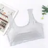 Verano Seda de Hielo Una Pieza Sin Costuras Transpirable Agujero Hermosa Espalda Chaleco Espalda en U Todo Combinable Sin Aro de Acero Sexy Envoltura de Pecho Tubo Top
