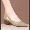 Novedad Moda Casual Primavera/Verano 2026 Zapatos para Mujer Versátiles Zapatos Mary Jane para Madres de Mediana Edad y Mayores Comercio Transfronterizo