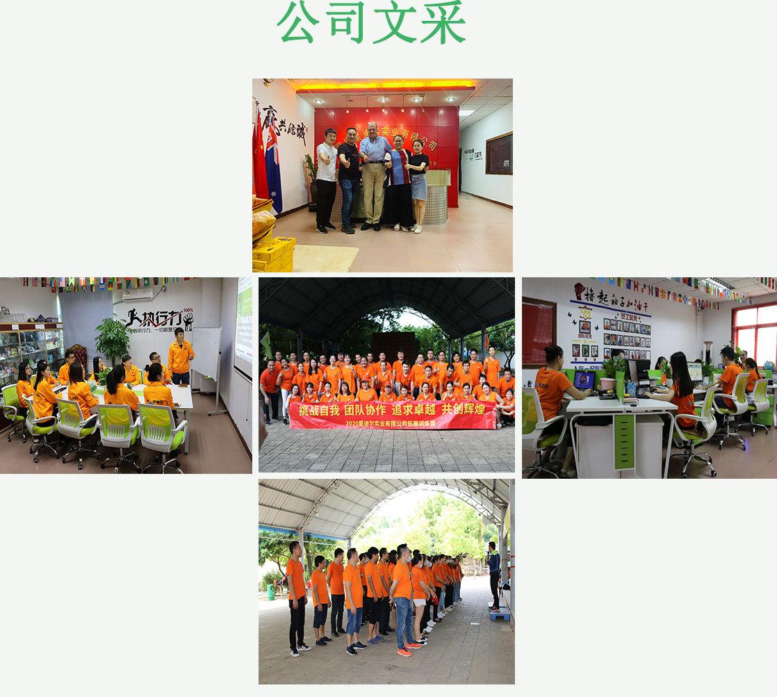 带logo白底20201226_14