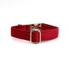 Collar para perro transfronterizo Amazon AliExpress collar para perro golden retriever Labrador letras collar de cadena para perro