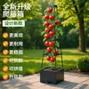 Cajas de Plantación para Plantas Trepadoras, Macetas para Balcón y Uso en Exteriores, Cajas para Cultivo de Verduras, Combinaciones de Plantación, Venta al por Mayor de Fabricante, Comercio Exterior, Transfronterizo