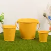 Venta al por mayor de fábrica Cubo de metal de hojalata de colores en maceta Mini cubo pequeño de hierro Adorno de artesanía creativa Cubo de hierro rojo de mano para niños