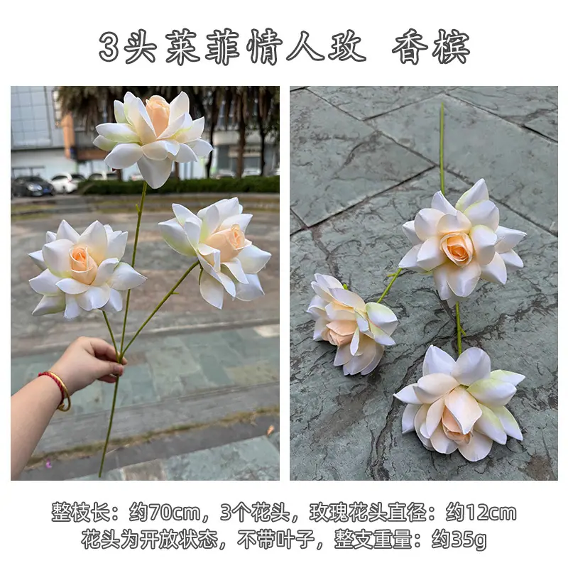 3头莱菲情人玫-详情_17.jpg