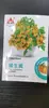Plántulas de Tomate Cherry Cuatro Estaciones Tomates Grandes Tomates Pequeños Verduras en Maceta Semillas de Tomate Cherry Multitemporada Venta Caliente