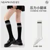 Calcetines estilo Academia calcetines de pantorrilla presión adelgazamiento calcetines largos calcetines hasta la rodilla estudiante jk japonés a juego mocasines estilo verano