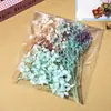 Bolsitas Pequeñas Grabadas de Flores Secas, Flores Prensadas, Kit de Materiales de Flores Eternas, Materiales DIY para Marcos de Fotos Infantiles Hechos a Mano y Flores de Abanico