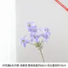 6 flores artificiales de onagra para comedor y estudio, decoración floral con tallos de flor elegantes y gráciles, que exudan una atmósfera suave y tranquila
