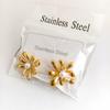 Pendientes de Acero Inoxidable con Forma de Gota de Aceite de Venta Caliente Transfronteriza Europeos y Americanos para Mujer, Versátiles, Modernos, Personalizados, Simples y Tendencia, Pendientes de Acero de Titanio al por Mayor