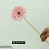 Flor de Gérbera de Rama Única de Tela de Seda de Venta Caliente Transfronteriza, Margarita Grande, Crisantemo Silvestre Pequeño, Flor Artificial, Decoración para el Hogar y Bodas, Adornos de Alta Gama