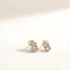 Nuevo Precio Especial Estilo Caliente Pendientes de Acero de Titanio Modernos Simples Versátiles para Mujer Alta Calidad Pendientes Conservadores de Color Joyería de Lujo Ligero