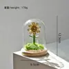 Suministro exclusivo transfronterizo de adornos de flores eternas en cúpula de cristal con flor del mes de nacimiento de diciembre, manualidades de plantas verdes de vidrio, venta al por mayor de fabricante