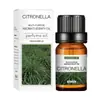 Mayorista de Fabricante Aceite Esencial de Lavanda Soluble en Agua Transfronterizo Aceite Esencial de Lavanda Soluble en Agua 10ml 29 Sabores