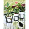 Soporte de flores colgante de hierro forjado para balcón, estante colgante para macetas de barandilla, para repisa de ventana, barandilla, almacenamiento de pothos y suculentas, metal