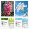 Novo Modelo para Entrega: Zhumeng Casa Celebridade da Internet Sem Fogo Líquido Refil de Aromaterapia para Quarto de Menina Fragrância Gaiola de Pássaro Pequeno Perfume