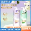 Champú Control de Grasa Voluminizador Flor Oriental Extracto de Planta Champú Esponjoso Fragancia Floral Refrescante Cabello Suave 1 kg/Botella