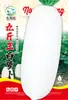 Semillas de Verduras Variadas para Otoño e Invierno, Semillas de Col China, Plántulas con Alta Tasa de Germinación, Nuevas Variedades de Colza Empresas Mayoristas