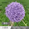 Bola de cebola única flor de plástico tênis de mesa casamento chão fileira estrada chumbo alto material flor falsa janela arranjo flor espinho bola
