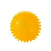 Juguete de Bola para Perro de Mascota Transfronterizo Pollo que Chilla Bola Vocal para Perros Grandes y Pequeños Resistente a Mordidas Bola que No Sangra Para Afilar los Dientes y Aliviar el Aburrimiento