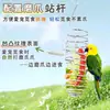 Comedero para Pájaros Cesta de Frutas y Verduras de Acero Inoxidable Juguete Colgante Alimentador de Loro Gadget Práctico Accesorios para Jaulas de Pájaros Suministros