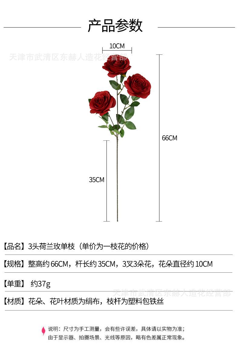 详情_01.jpg