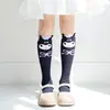 Calcetines para Niñas, Calcetines Largos de Verano, Calcetines Dulces para Niños, Calcetines de Algodón con Encaje de Dibujos Animados, Lindos Calcetines Largos hasta la Rodilla para Primavera y Verano