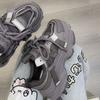 Tênis Dad Mesh para Mulheres com Solas Plataforma Grossas, Novo Estilo Popular Versátil Outono 2026, Sapatos Casuais que Aumentam a Altura para Mulheres Baixas
