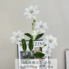 5 Lirios Artificiales de Doble Pétalo Impresos en 3D Decoración de Boda Flores Artificiales Decoración del Hogar Adornos Ramo