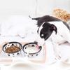 Leche de Cabra en Polvo para Mascotas Procesamiento OEM y Fabricante OEM Producción de Alimentos Nutricionales para Mascotas Shandong Qiheng Pet